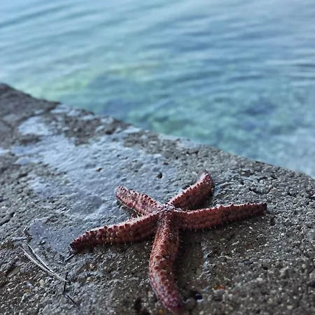 Ubytování v soukromí Rafael - 4 Minutes To The Gradac (Split-Dalmatia)